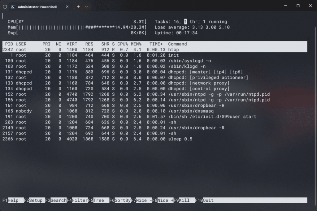 Windows Terminal showing htop command from Milk-V Duo Linux board in SSH mode